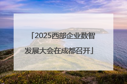 2025西部企业数智发展大会在成都召开